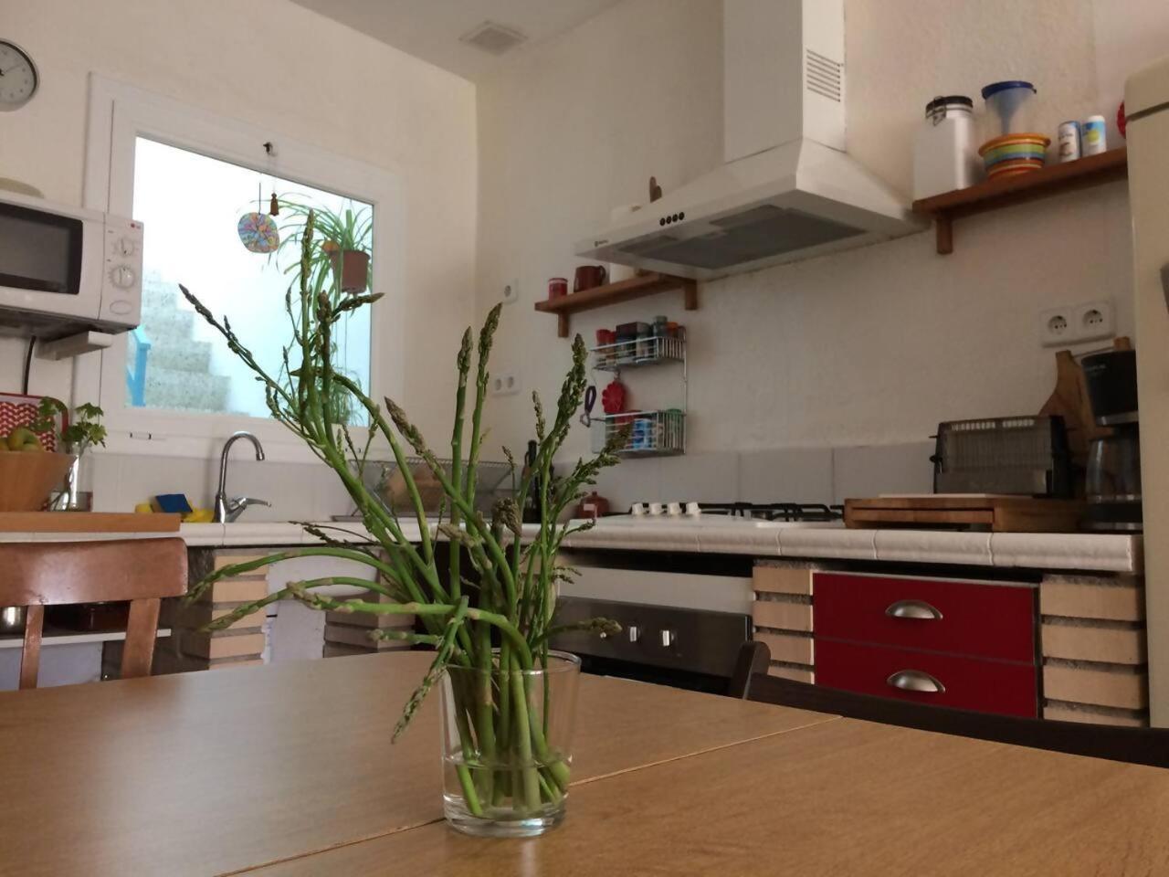 Casa Taller Penelles Penellas Εξωτερικό φωτογραφία